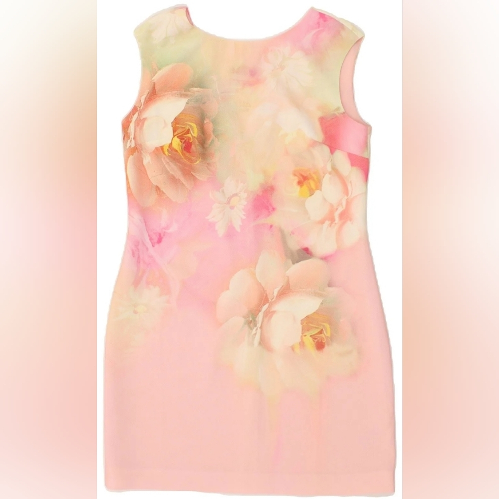 Ted Baker Floral Sleevless Sheath Dress Size 2